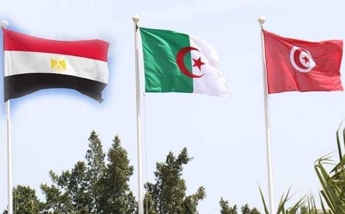 مصر و الجزائر يجددان دعمها لتونس